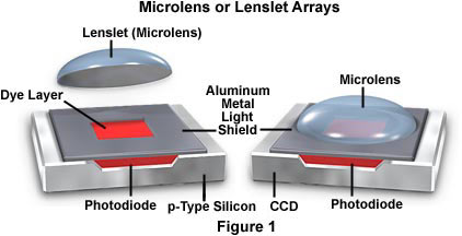 A diagram of microlenses that may be used in your very own cellphone